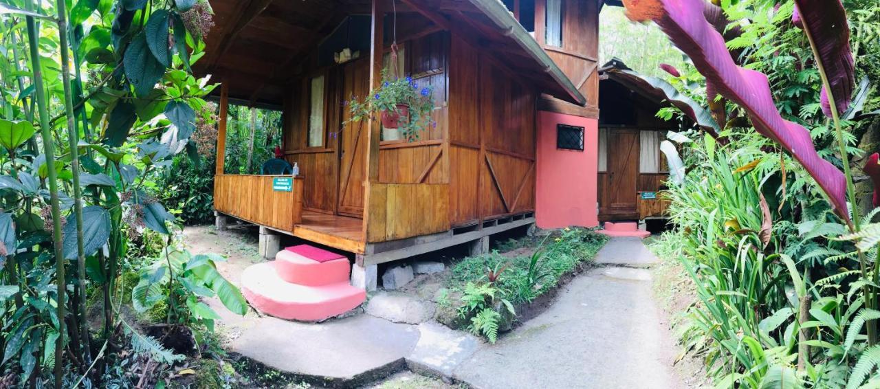 Cabañas Armonía y Jardín de Orquídeas Mindo Exterior foto