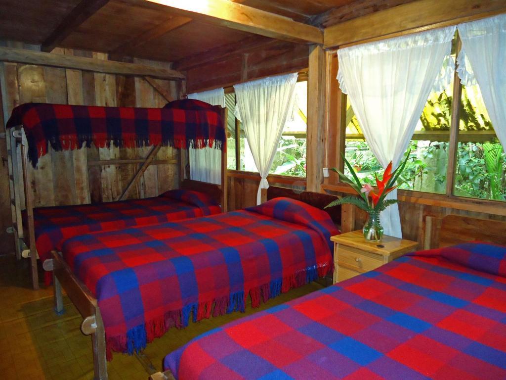 Cabañas Armonía y Jardín de Orquídeas Mindo Habitación foto