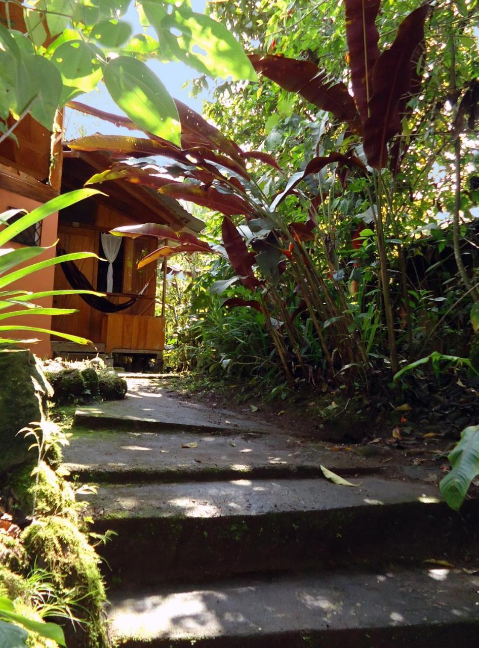 Cabañas Armonía y Jardín de Orquídeas Mindo Exterior foto